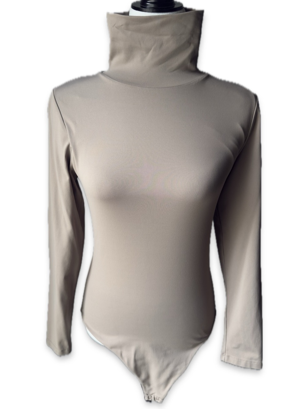 Aritzia Contour Long Sleeve Taupe Turtleneck Bodysuit